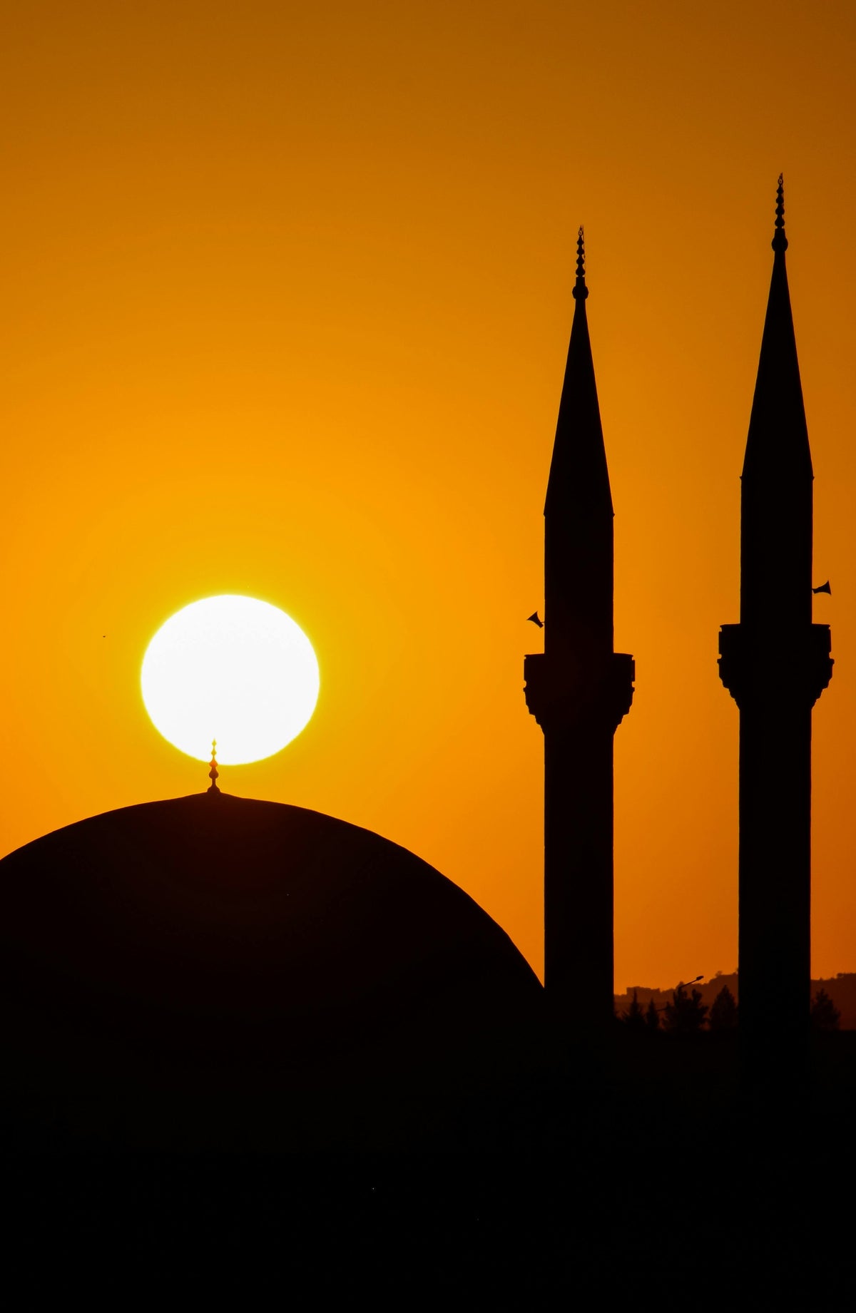 10 tips for new muslims first year islam convert